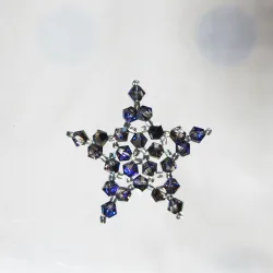  - Brooch Corvus -  - Laiton argenté